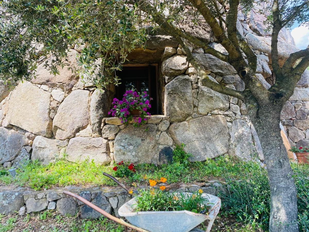 Il Nuraghe Del Lago Coghinas Oschiri Экстерьер фото